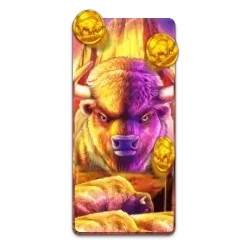 Buffalo
King